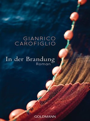 cover image of In der Brandung